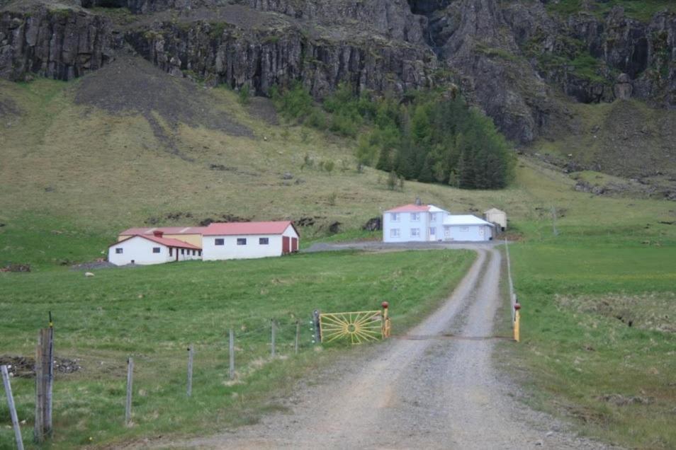Guesthouse Stekkatun Skálafell Exterior foto